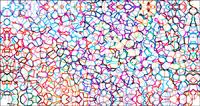 Coalescence - Colorful Abstract Panoramic Art.